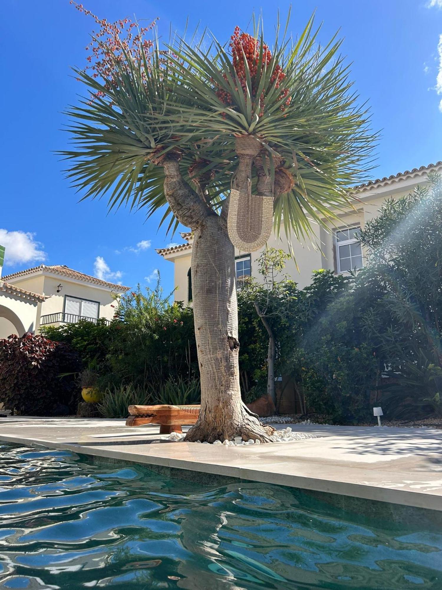 Villa Ibiza - Beautiful House With Private Pool Chayofa 外观 照片